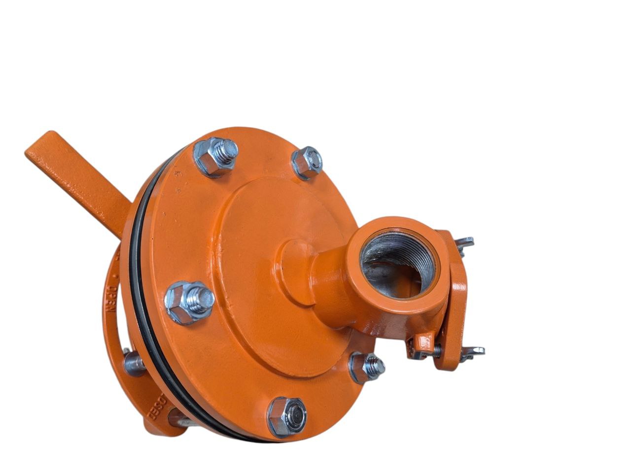 photo_2_2025-07-29_13-48-36